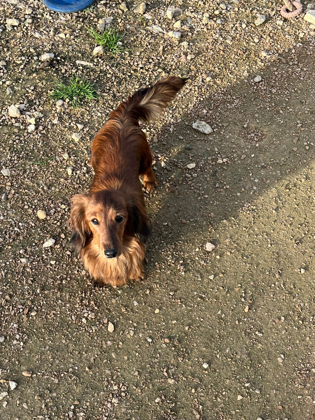 Ayka Des Amours De Poseidon