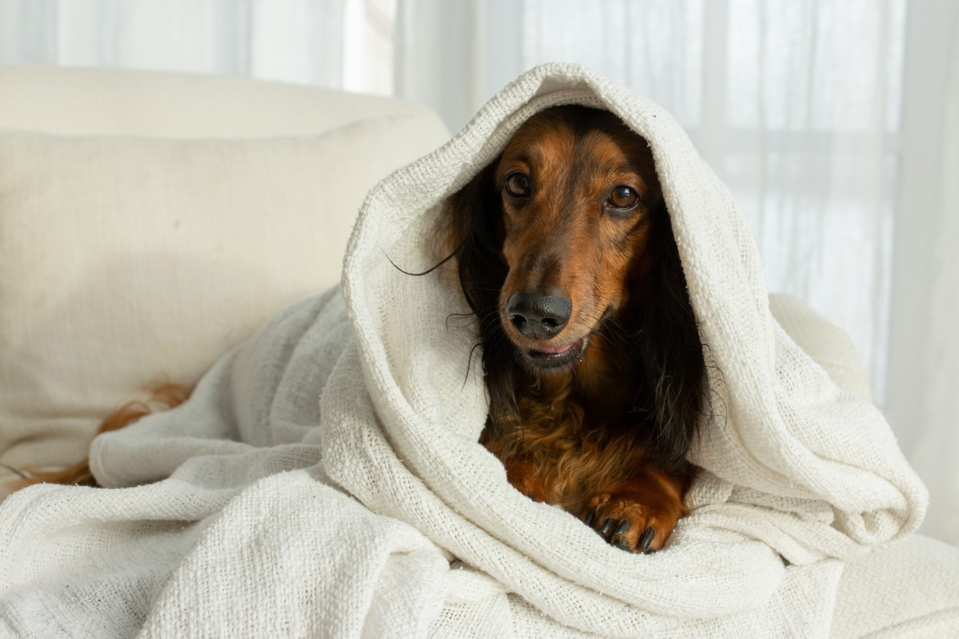 De La Petite Equinoxe